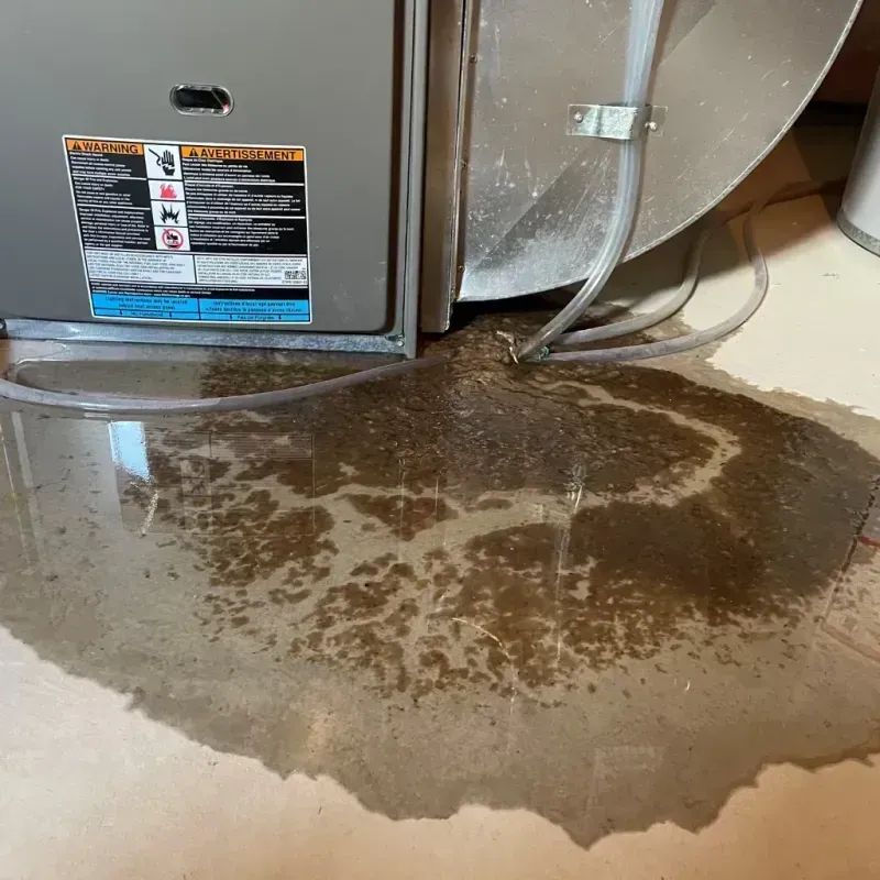 Appliance Leak Cleanup in Hays, NC